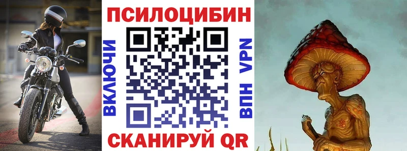 где продают   Ревда  blacksprut как зайти  Псилоцибиновые грибы Psilocybe 